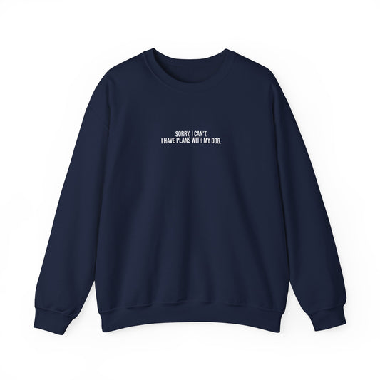 Sweatshirt, Plans with my dog