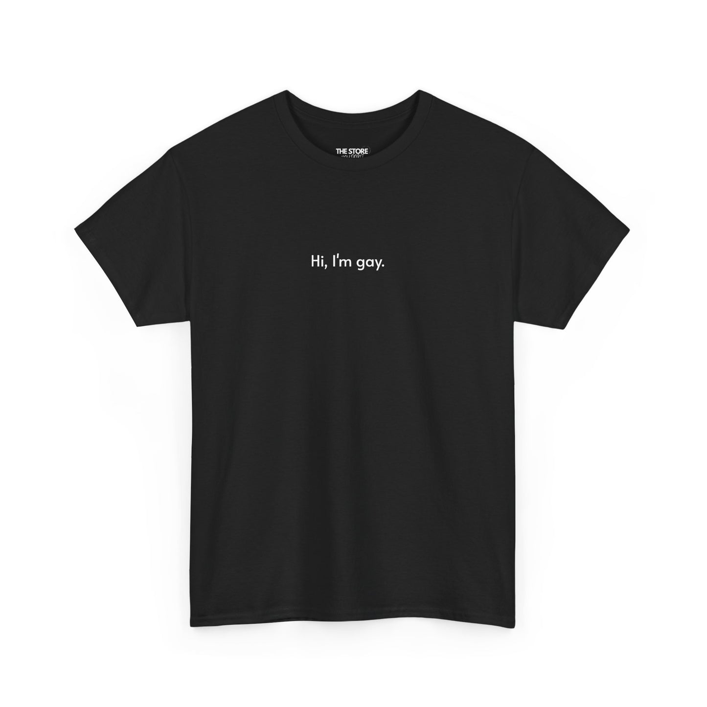 T-Shirt, Hi, I'm Gay